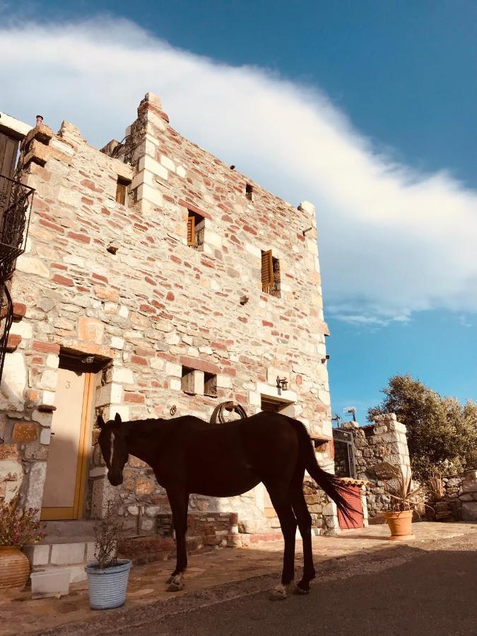 Castle Rizaraki Hotel Kokkala Exterior photo